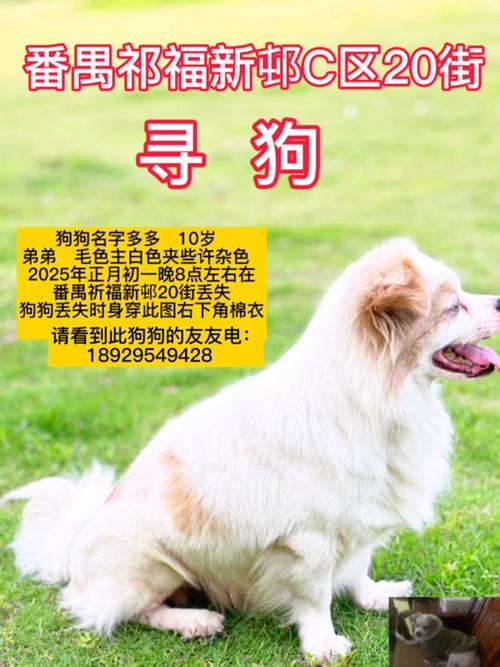 下载中心 第19页