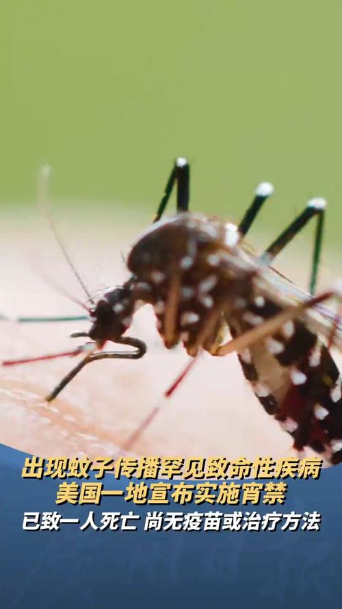 下载中心 第15页